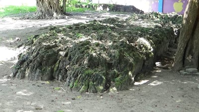 Arippu Fort