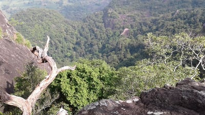 Govinda Hela