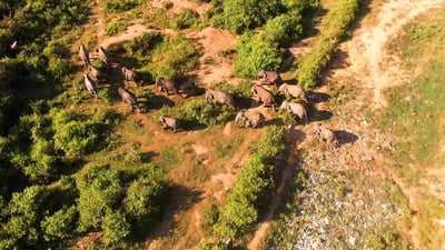 Deegavapiya (Deegawapiya)