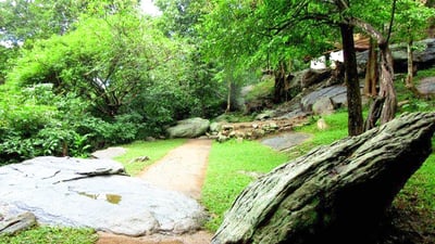 Nathagane