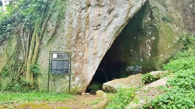 Dorawaka kanda