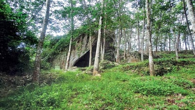 Dorawaka kanda