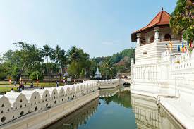 Moat
