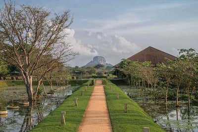 Water Garden