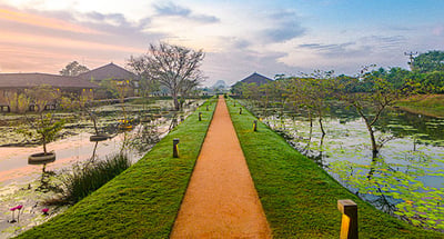 Water Garden