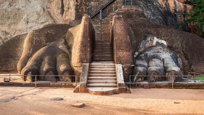 Lion's Paw Terrace