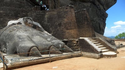 Lion's Paw Terrace