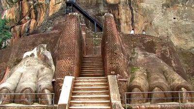 Lion's Paw Terrace