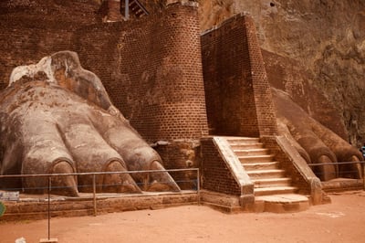Lion's Paw Terrace