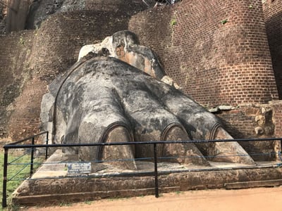 Lion's Paw Terrace