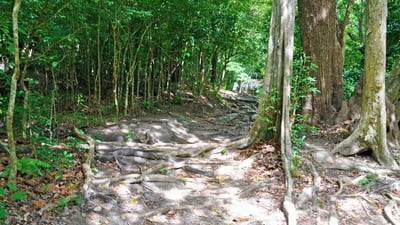 Banda Pokuna