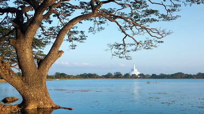 Basawakkulama Wewa
