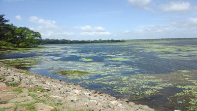Basawakkulama Wewa