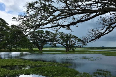 Tissa Wewa