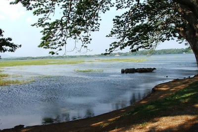 Tissa Wewa
