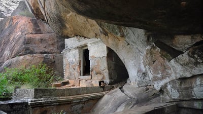 Rajagiri Lena
