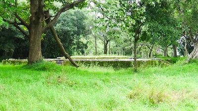 Pankuliya Ashokaramaya