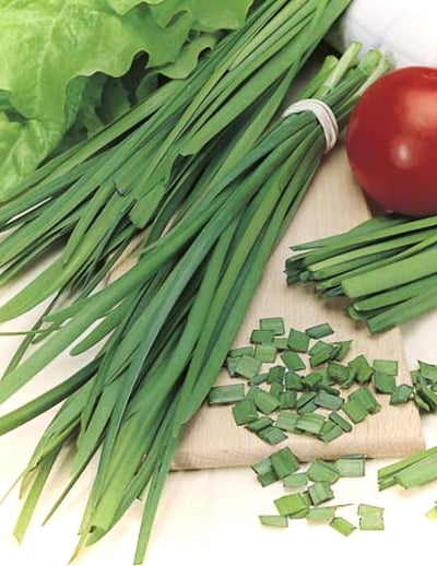Chives