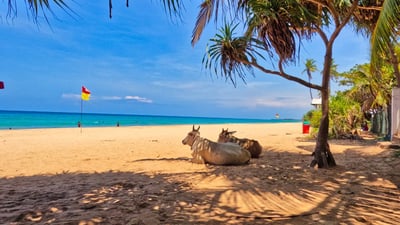 Trincomalee Beach