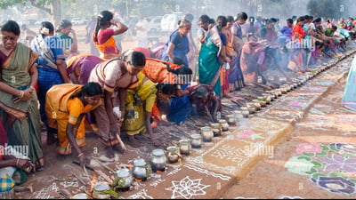 Thai Pongal