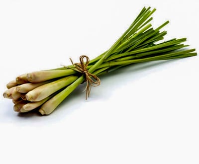 Lemongrass and Citronella