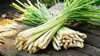 Lemongrass and Citronella
