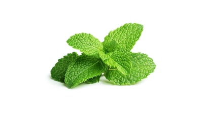 Mint