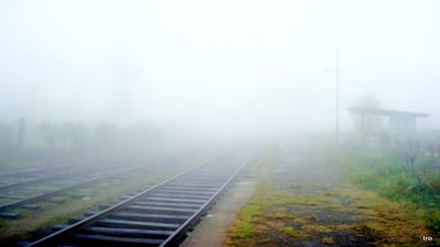 Pattipola