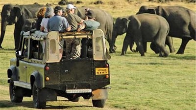 Off Road Tours