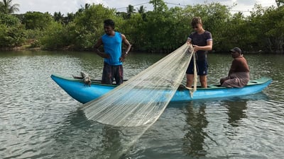 Lagoon Fishing