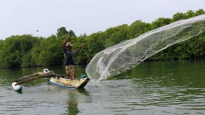 Lagoon Fishing