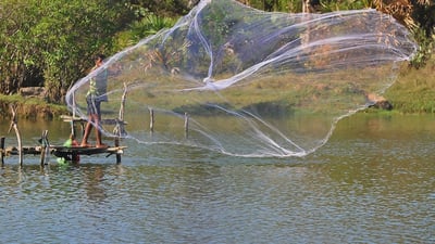 Lagoon Fishing