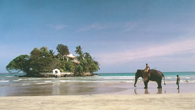 Luxury Tours