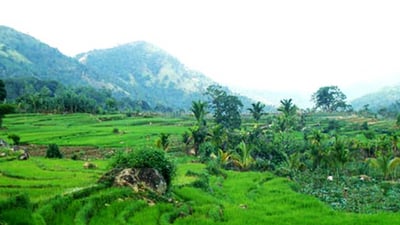 Ampitiya