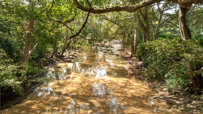 Menik Ganga