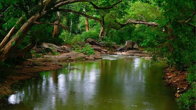 Menik Ganga