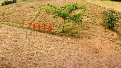 Dekanduwala Meditation Centre