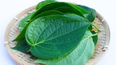 Betel Leaves