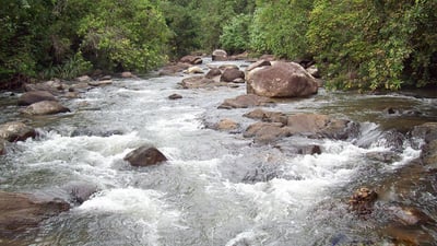 Eheliyagoda