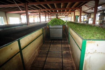 Kiruwanaganga Estate