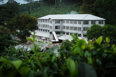 New Deniyaya Estate