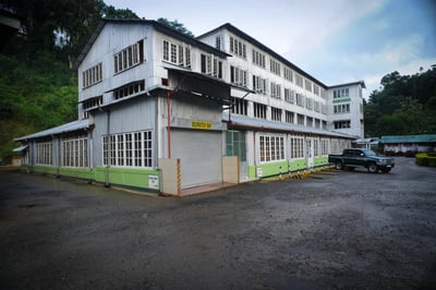 New Deniyaya Estate