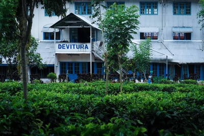 Devitura Estate