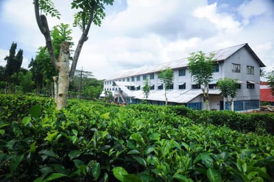 Devitura Estate