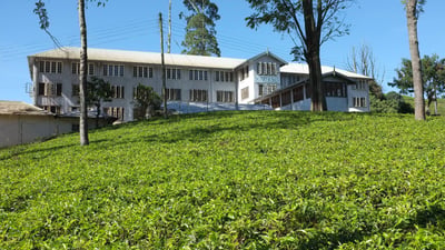 Imboolpittia Estate