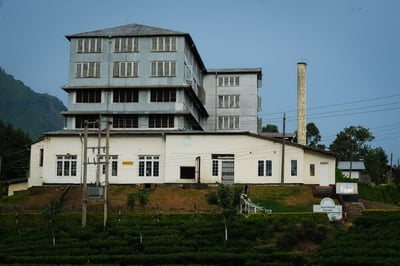 Dunkeld Estate