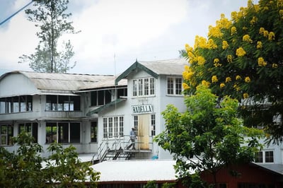 Park Green Tea Factory