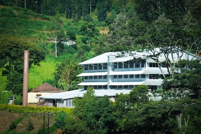 Bearwell Estate