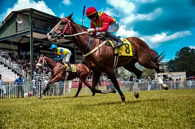 Horse Races Carnivals