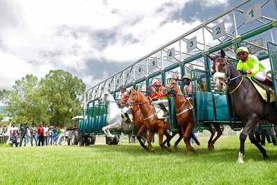 Horse Races Carnivals
